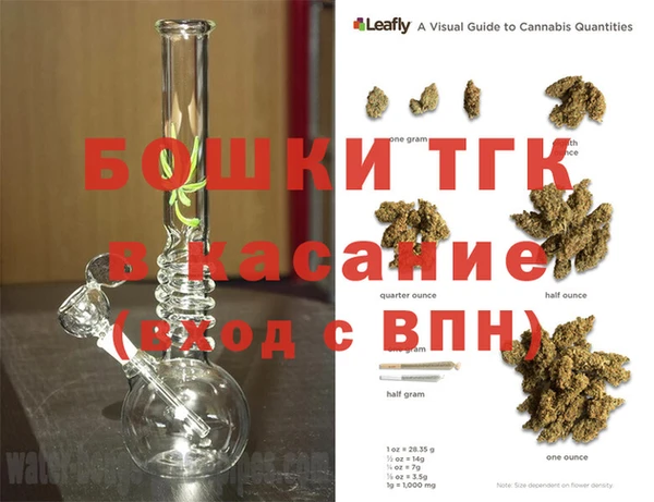 индика Арсеньев
