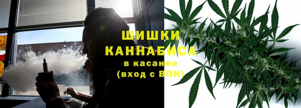 ГАЛЛЮЦИНОГЕННЫЕ ГРИБЫ Балахна